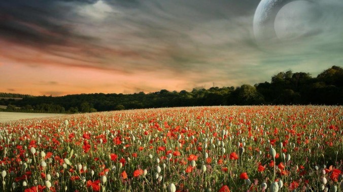 脸与身材不符是种怎样的体验？